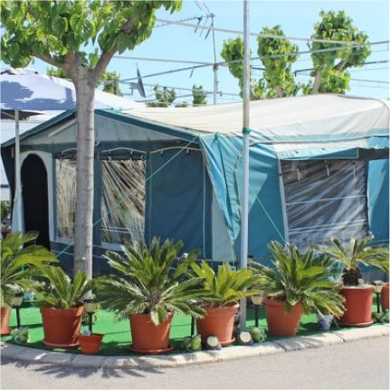 Alojamiento en parcela